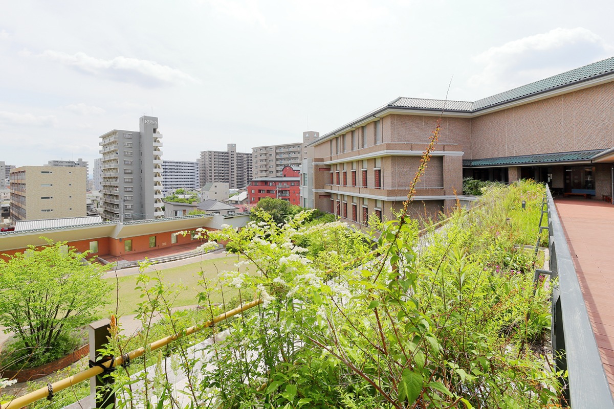 地方独立行政法人 岡山県精神科医療センター - 中庭(2)