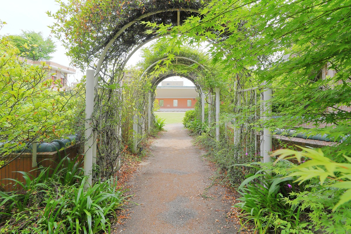 地方独立行政法人 岡山県精神科医療センター - 中庭(3)