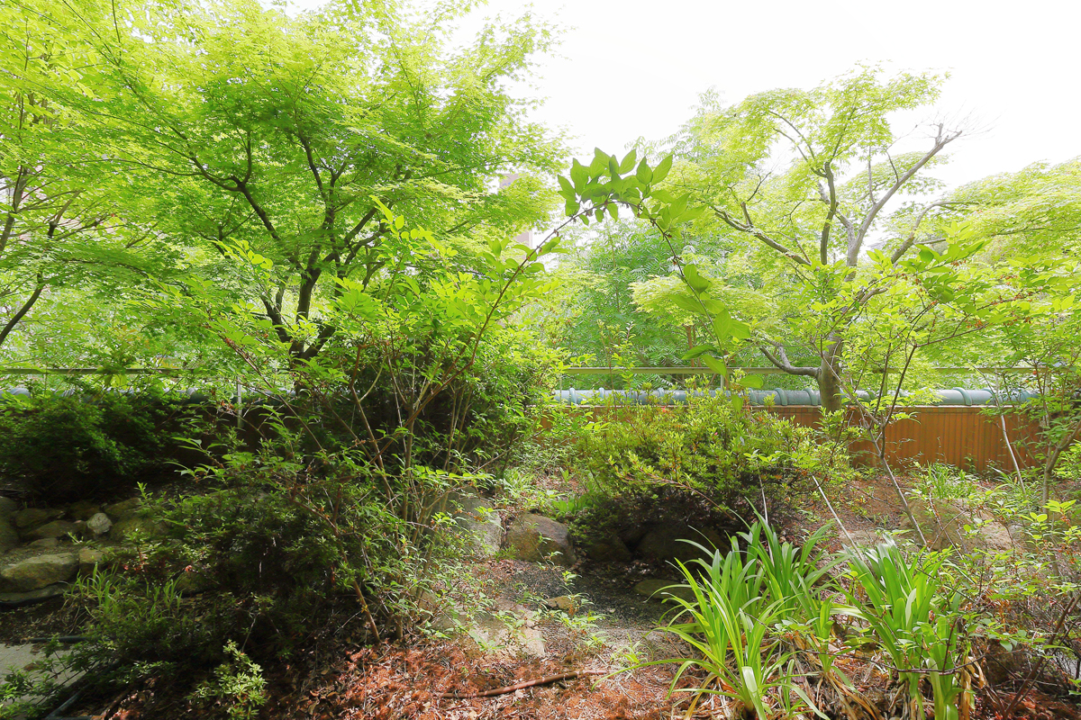 ご家族・まわりの方へ - 地方独立行政法人 岡山県精神科医療センター